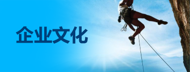 企業(yè)文化